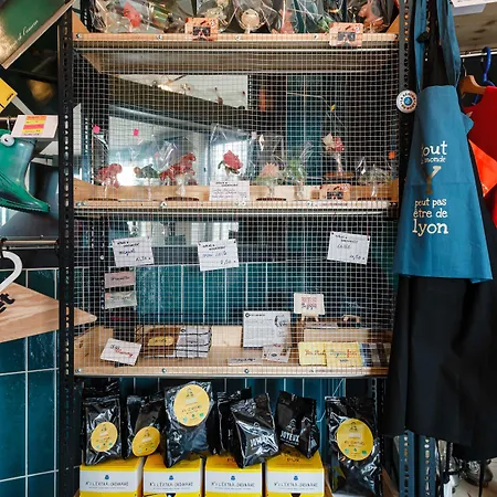 酒店 Greet Confluence 里昂