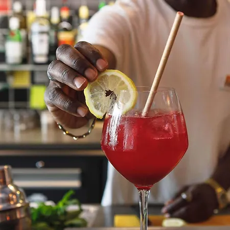 Greet Confluence מלון ליון