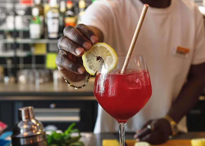 Greet Confluence Otel Lyon